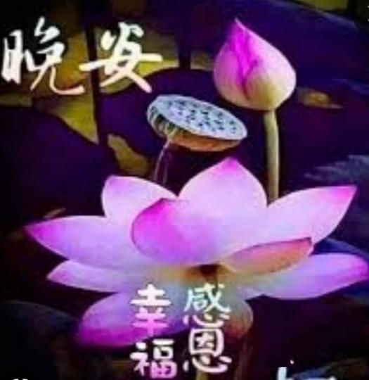 幸福感恩，
朋友晚安！...