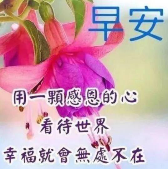 感恩看世界，
幸福就存在！...