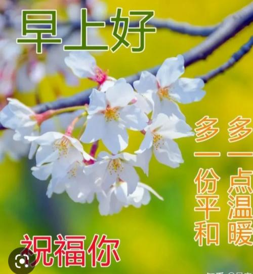 生活總有
陽光，朋友早！...
