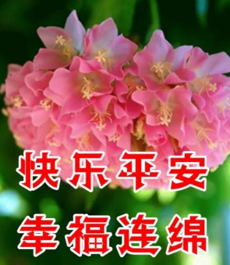 祝願朋友
快樂平安！...