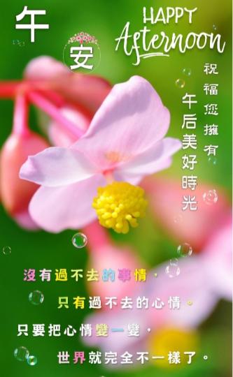 祝福朋友
擁有午後
美好時光！...
