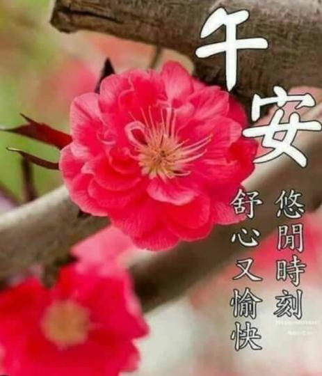 午安悠閒時刻，
朋友好！...