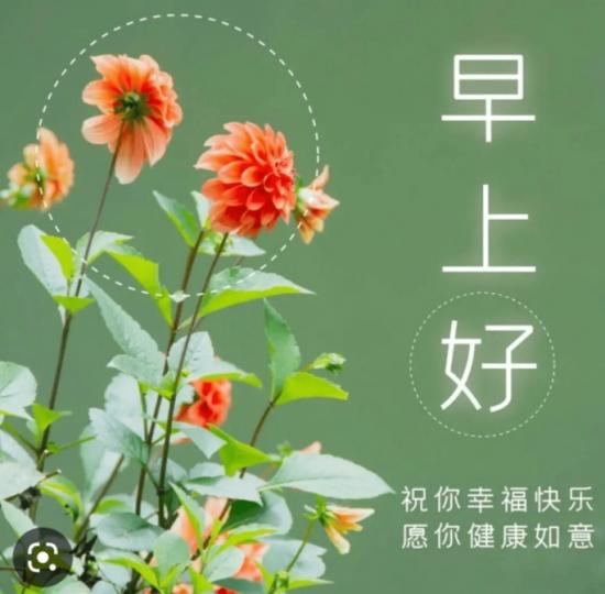 朋友們早,
健康如意！...