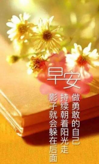 面向陽光, 
做勇敢的人,
朋友們早！...