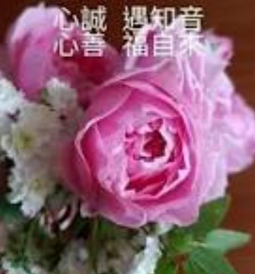 心誠遇知音，
心善福自來！...