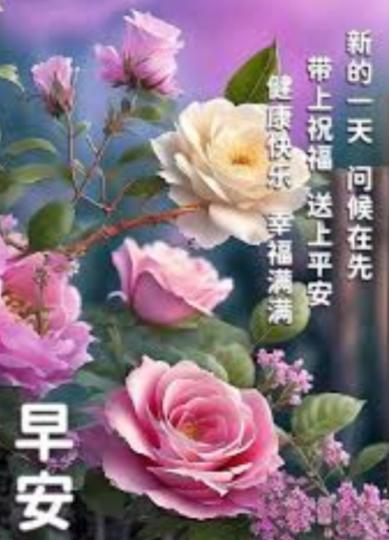 朋友早，
健康快樂，
幸福滿滿！...