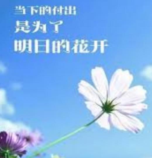 當下的付出，
為了明日花開，
朋友們早！...