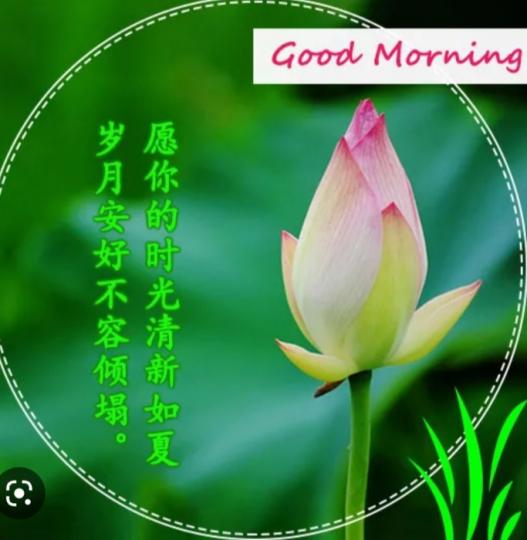 歲月安好，
朋友們早！...