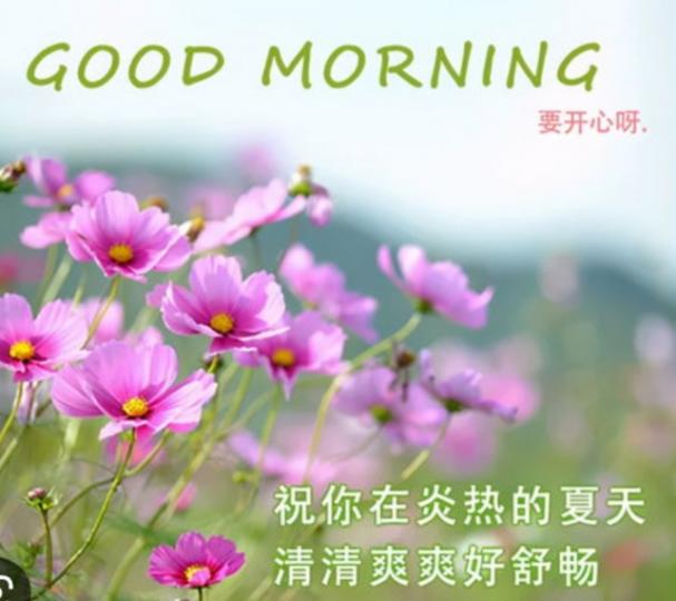 清爽舒暢
朋友們好！...