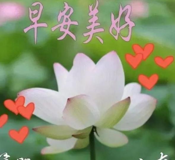 朋友們好,
簡單生活,
開心知足！...