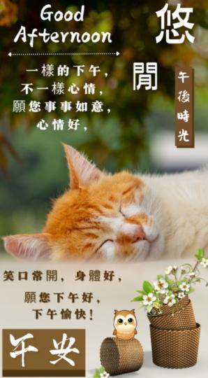 朋友午安，
悠閒好心情！...