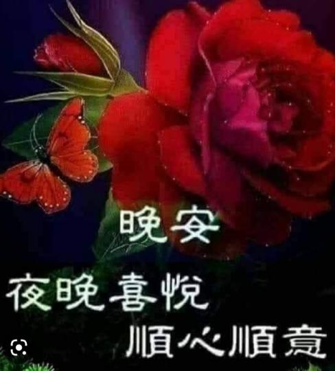 朋友們晚安，
健康如意！...