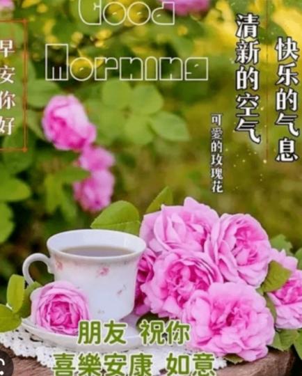 清新空氣，
迎新一天！...