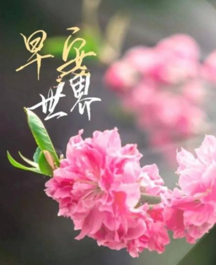 平凡的日子
裏發現细微
的美好！
朋友早！...