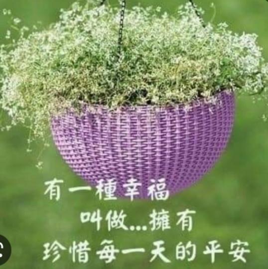 珍惜每一天
的平安！
朋友們好！...