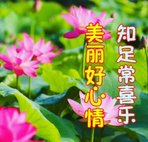知足常喜樂，
朋友早！...