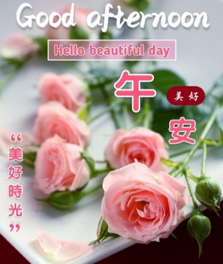 朋友們午安,
美好的時光！...