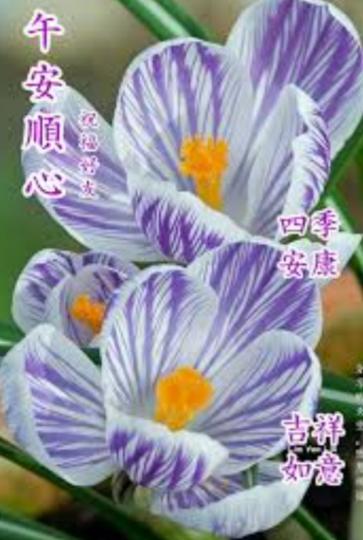 祝願朋
友們順心如意！...