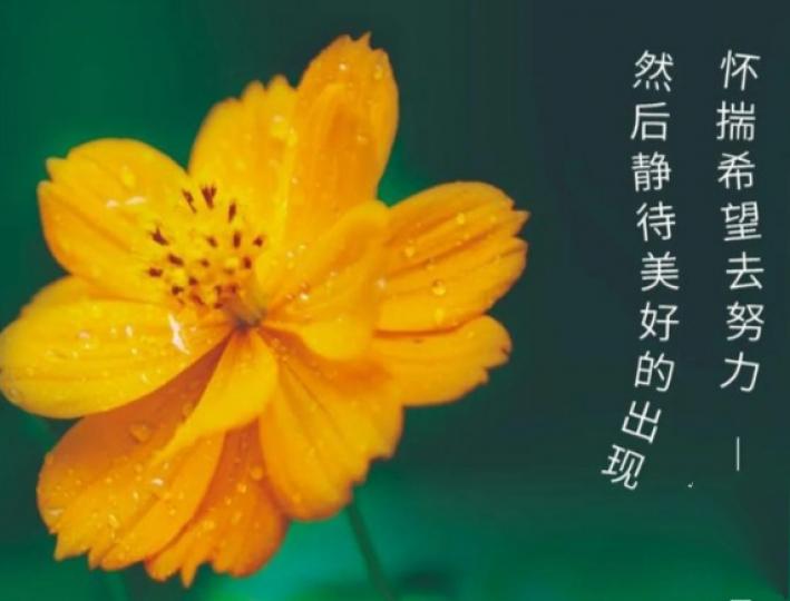 懷着希望,
奔向美好！...
