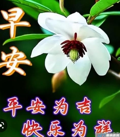 祝願朋友
們平安吉祥！...