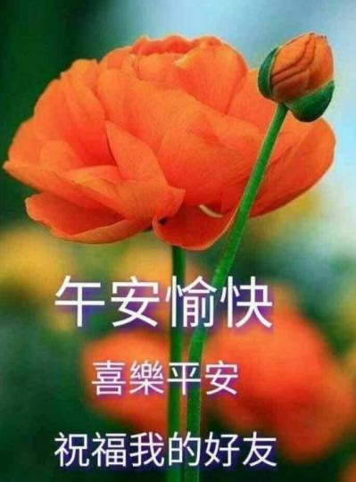 朋友們午安，
愉快，安康！...