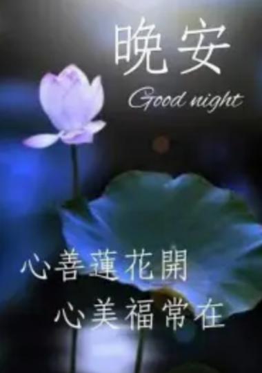 心善人美，
朋友晚安！...