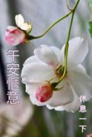 午安朋友，
輕鬆愉快！...