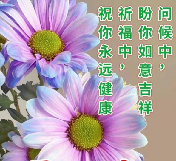 祝願朋友們
健康如意！...