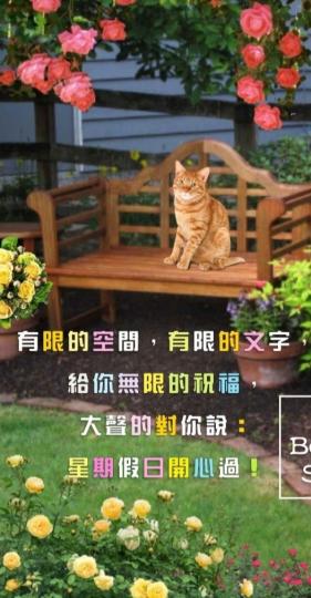 周日開心過，
朋友們好！...
