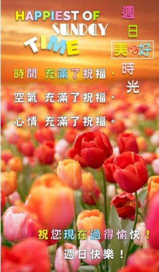 時間，空間
充滿了祝福，
朋友們好！...