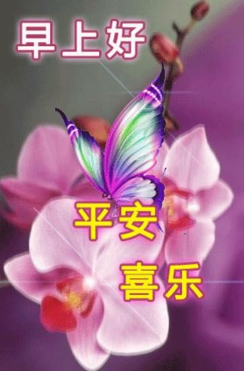 平安喜樂，
朋友們早！...