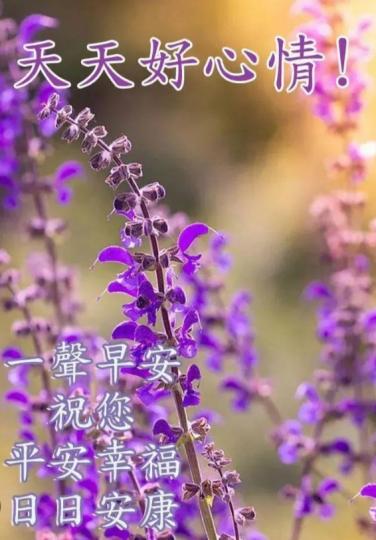 天天好心情，
朋友早！...