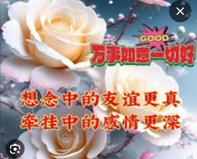 祝朋友們
一切皆好！...