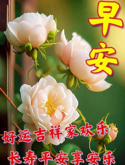 好運吉祥快樂，
大家早！...