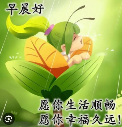 下雨天，
心情依然開朗！
朋友早！...