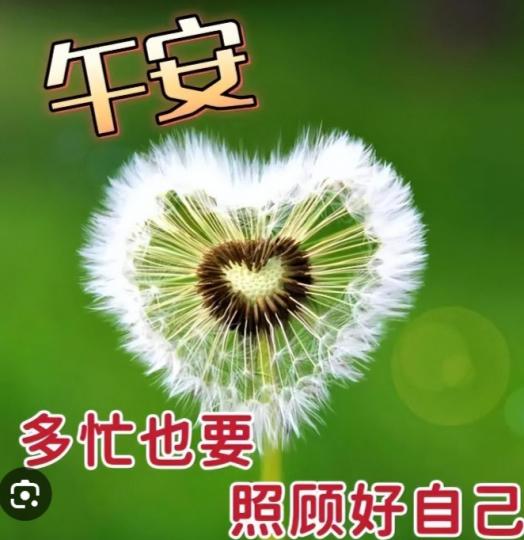 午安朋友，
休息一下吧！...