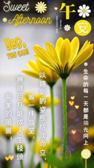 讓歲月變成
人生舞台最
美的風景！...