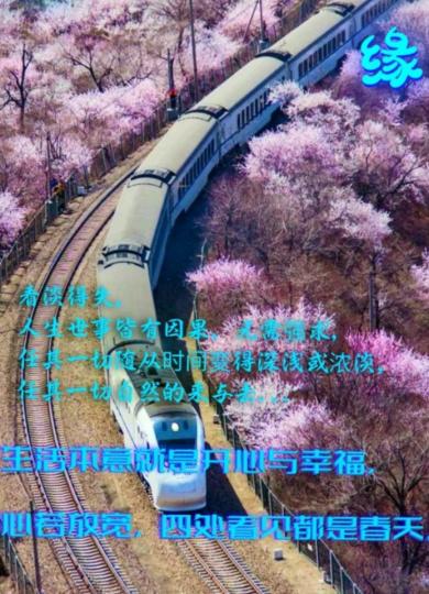 凡事隨緣就好！
朋友們午安！...