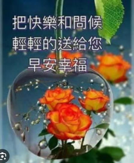 把快樂，
問候輕輕
送給你，
朋友早！...