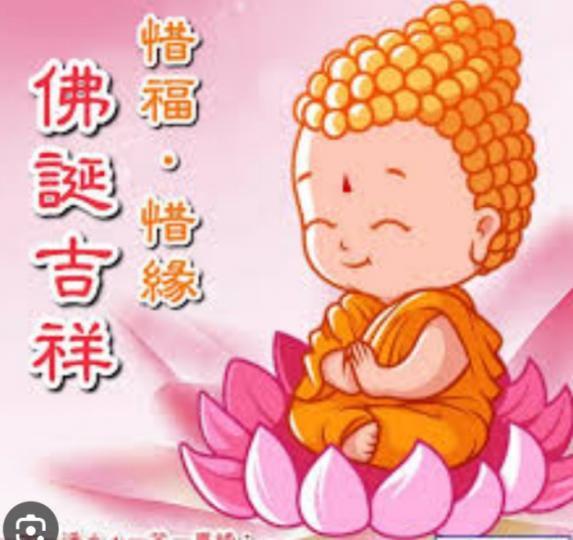 佛誕翌日，
祝願吉祥！...