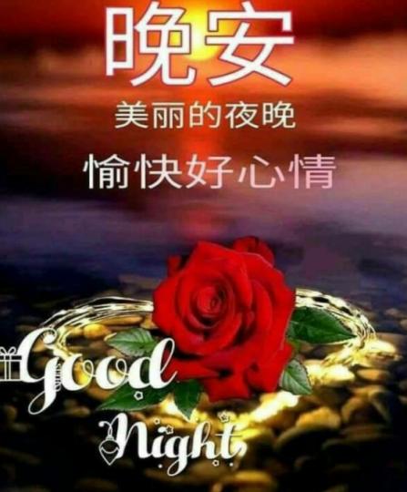 大家晚安，
心情舒暢！...