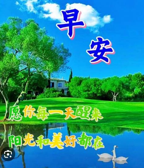 陽光燦爛，
美好一天！...