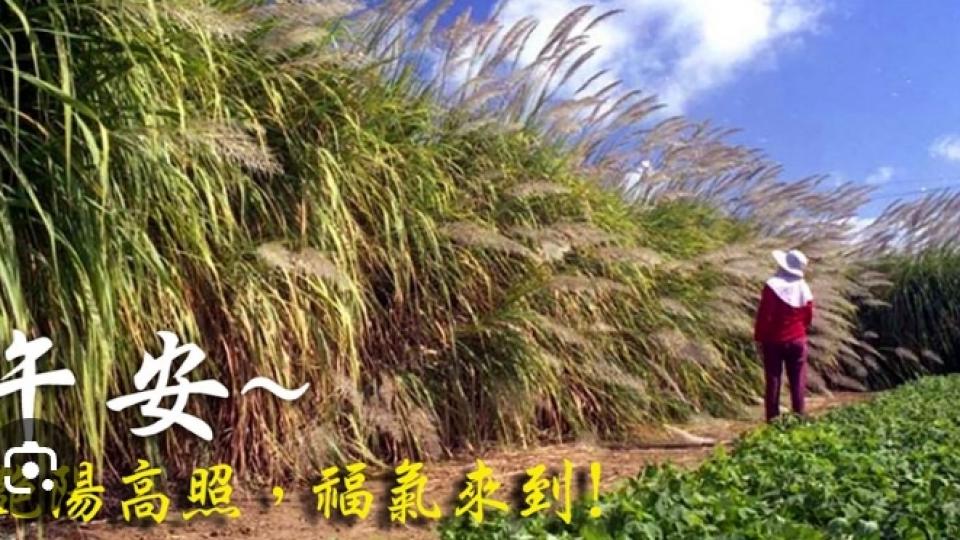 艷陽高照，
福氣來到！...