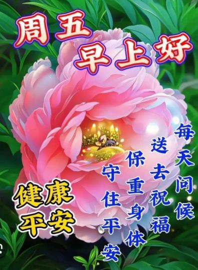 周五早，
守平安，
保身體！...