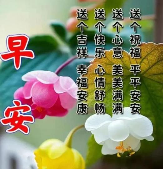 朋友早，
祝福停不了！...