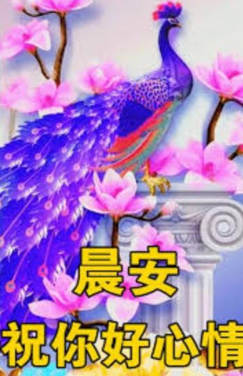 朋友早，
做幸福的自己！...