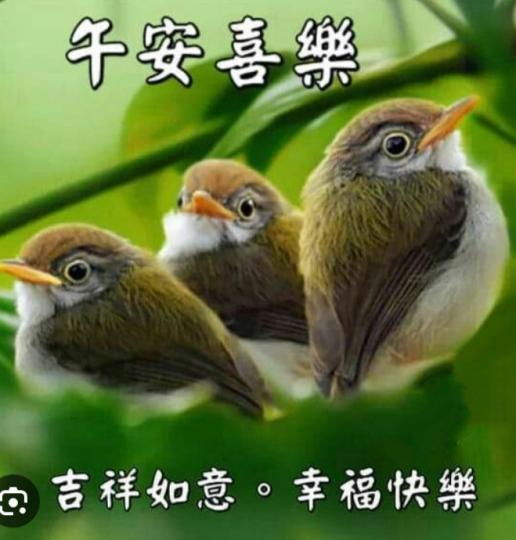 祝願朋友
心情像鳥兒般快樂！...