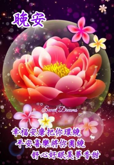 平安喜樂，
朋友晚安！...