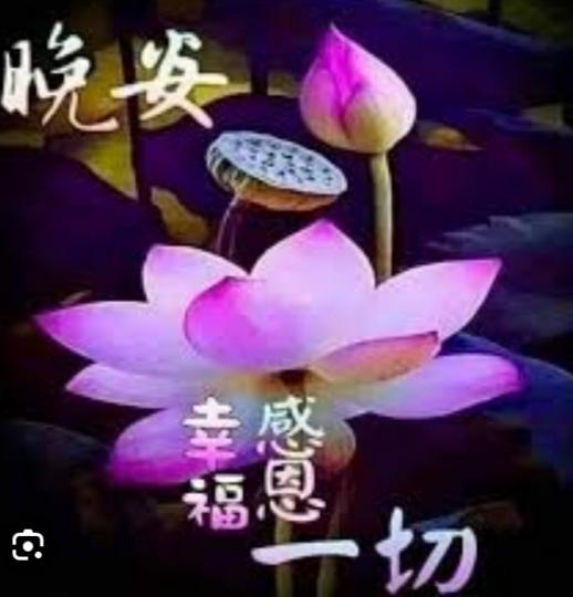 幸福感恩，
朋友晚安！...