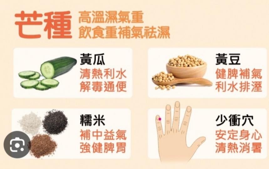 朋友們早，
芒種養生供参考！...